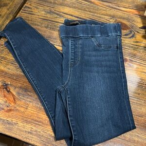 Liverpool 8/29 skinny jeans